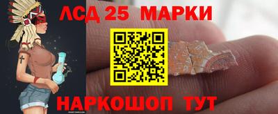 стаф Будённовск