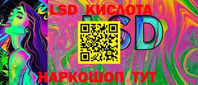 стаф Будённовск