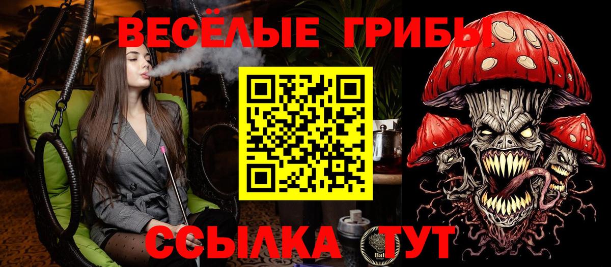 Галлюциногенные грибы Cubensis Вологда